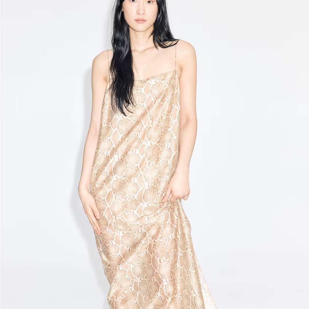 H&M Strapless Beige Snake Print Dress
